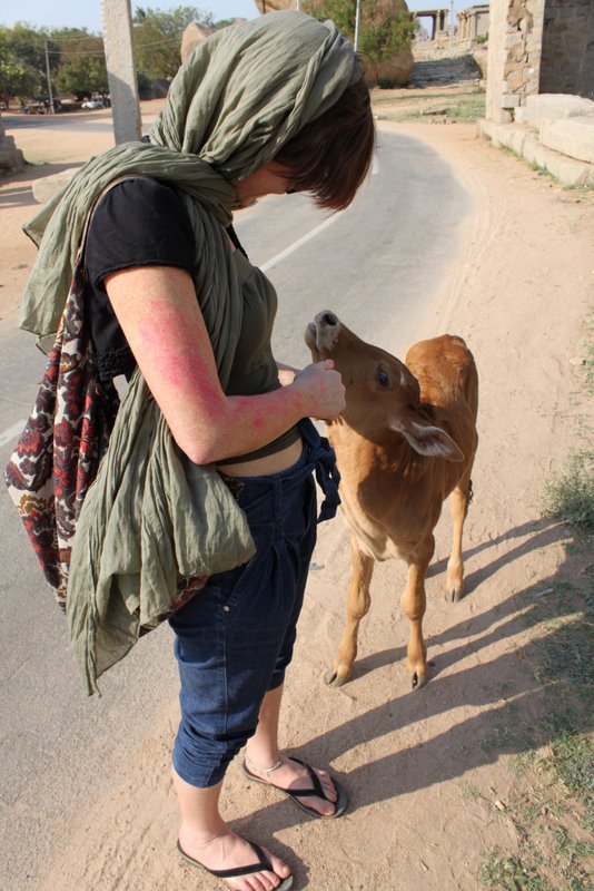 Befriending a 'veal'.